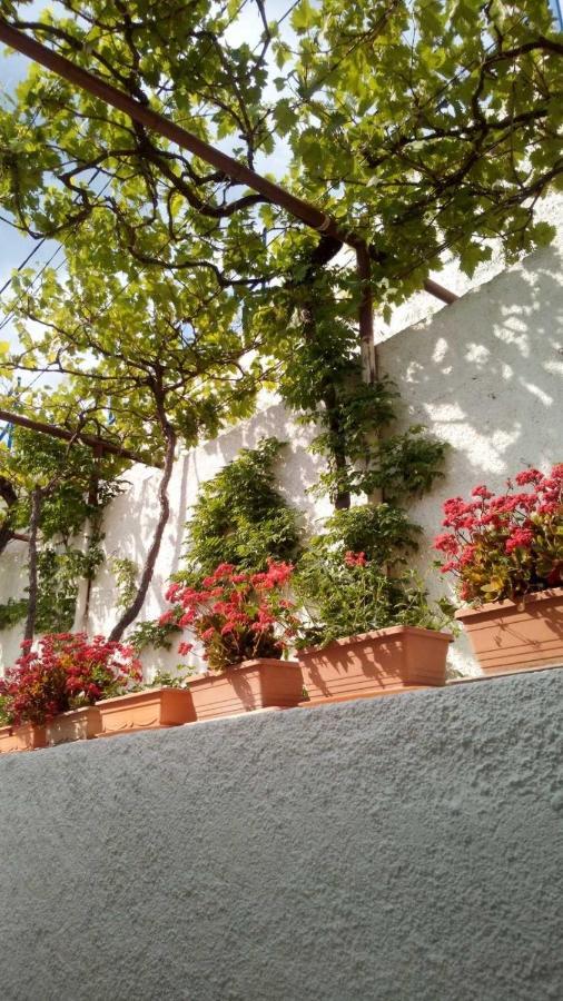 Milojka Apartment